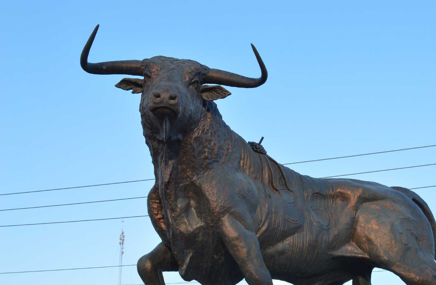 Fotografía al monumento de un toro